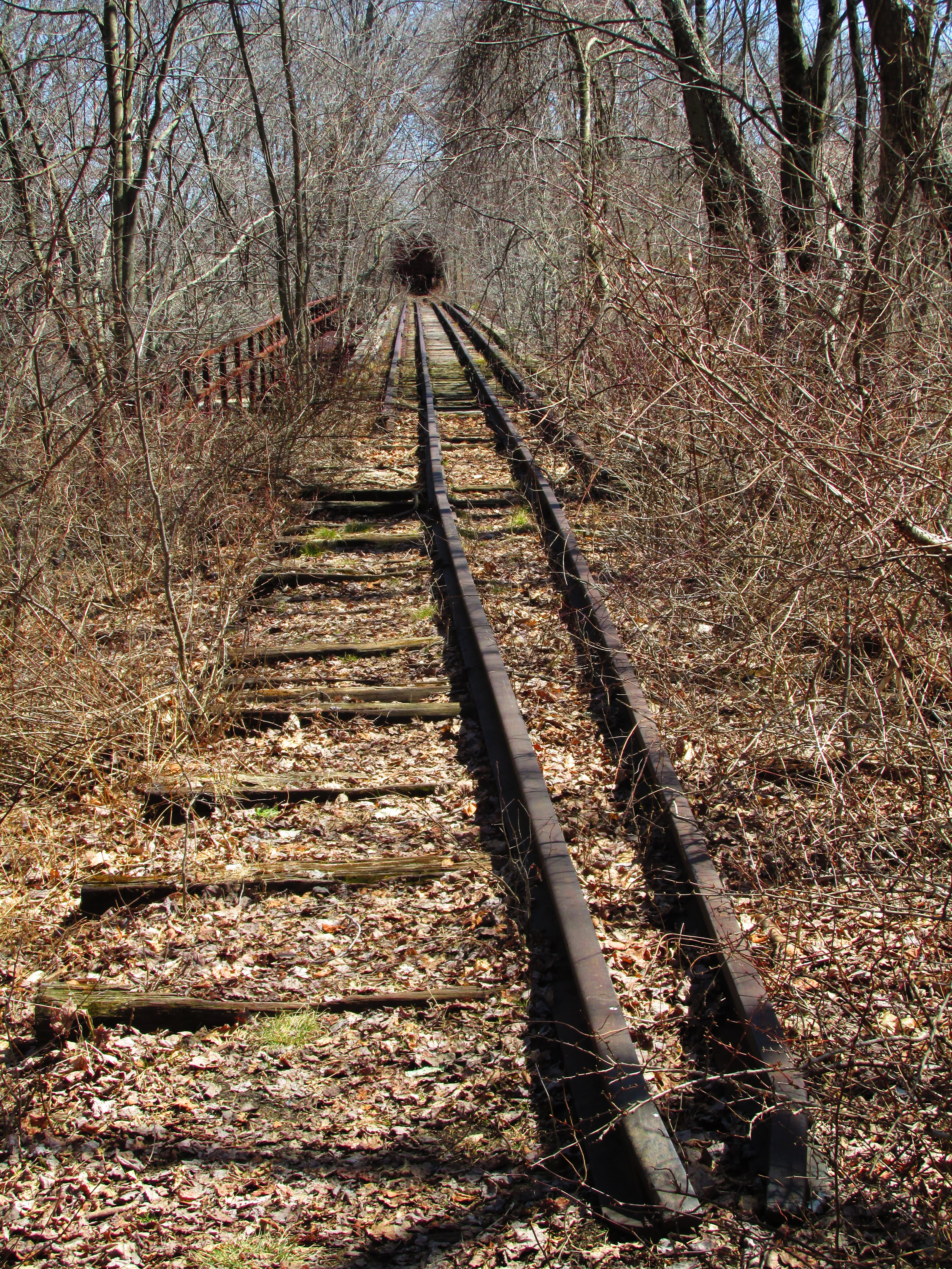 Abandoned Railway | Abandoned Wonders, image size:3456x4608